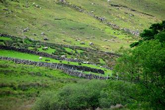 03 08 irlande_2016-pf_010DSC_0645.JPG