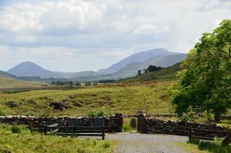 04 08 irlande_2016-pf_012DSC_0651.JPG