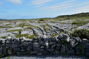 12 06 irlande_2016_pf_ Les murets de pierres_26.jpeg