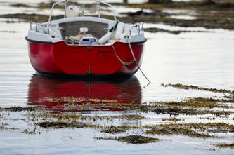 17 09 2016 images bréhat-pf_035DSC_0202.JPG