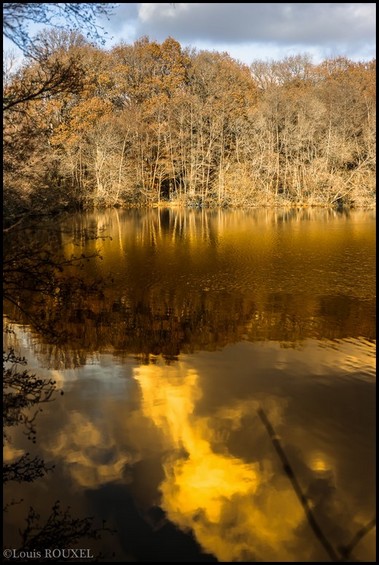 2015 01 29-photo du jour louis-Le feu au Lac du Pont Graveloup.jpg