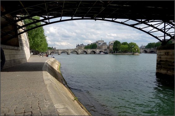 2015 02 13-photo du jour-annick-Sous les ponts de Paris 2014.jpg