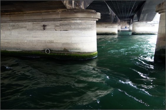 2015 02 16 photo du jour-annick-Sous les ponts de Paris.jpg