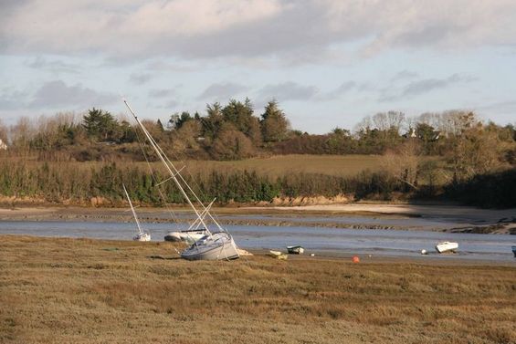 2015 03 02-photo du jour nicolas-13_12_26_Sur l`Herbe_IMG_1537.JPG