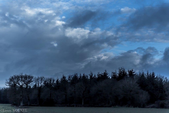 2015 03 22 photo du jour louis-bosquet bleu.jpg