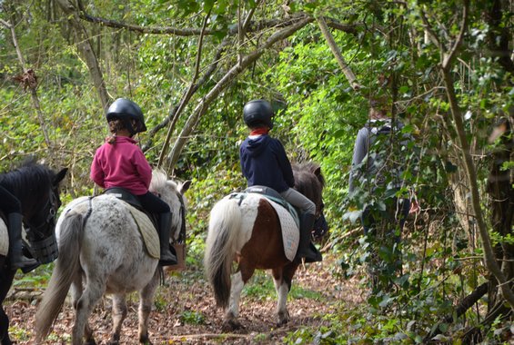 2015 04 26 petits cavaliers et baby poneys_0075.JPG