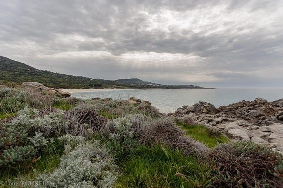 2015 06 08 photo louis entre l`ile rousse et alghajola-2 (Copier).jpg