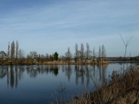 2015 06 16 photo du jour maguy Les lacs de l`Essonne.JPG