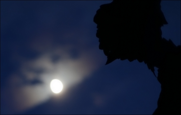 2015 06 23 photo du jour annick La lune et le sorcier de Puisaye-09050.JPG