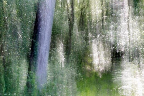 2015 07 08 photo du jour louis cascades forestières.jpg