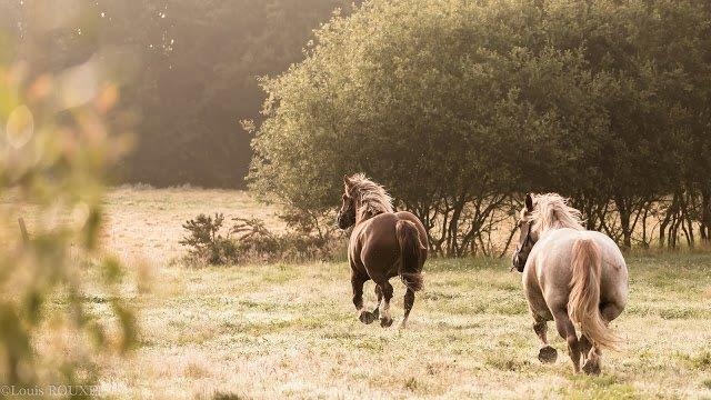 2015 07 16 photo du jour louis tremblement de terre.jpg