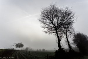 2015 12 22 la campagne plédéliacaise-6.jpg