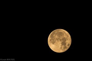 2015 12 25 Pleine Lune du 25 Déc 2015.jpg