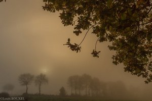 2015 12 28 la campagne plédéliacaise-15.jpg