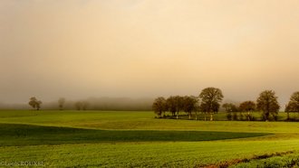 2015 12 31 la campagne plédéliacaise-12.jpg