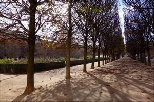 2016 01 07 annick Lignes et cercles au Palais royal-09-09-2015A.jpg