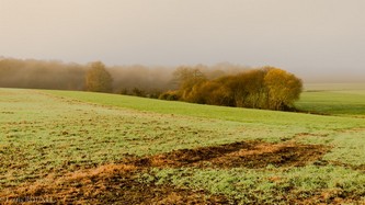 2016 01 11 louis la campagne plédéliacaise-13.jpg