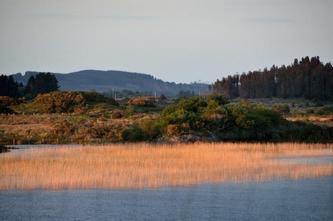 26 08 irlande_2016-pf_078DSC_0852.JPG