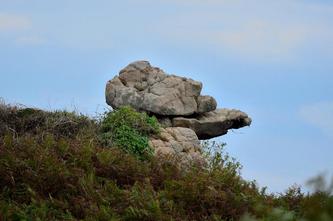 27 09 2016 images bréhat-pf_039DSC_0225.JPG