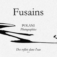 Fusains 01.jpg